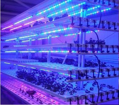 QT-LED1218植物补光灯